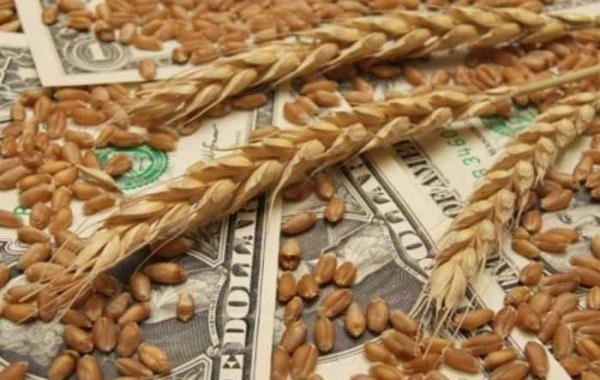 “Батькивщина” и “Свобода” разворовали продовольственно-зерновую корпорацию. Государство «попало» на $1 млрд